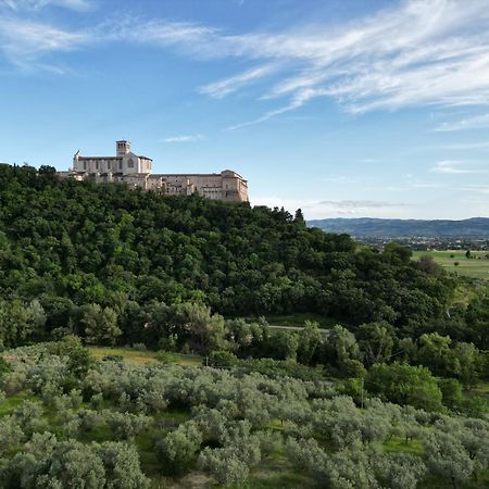 La Casa Tra Gli Ulivi Bed & Breakfast Assisi Exterior photo