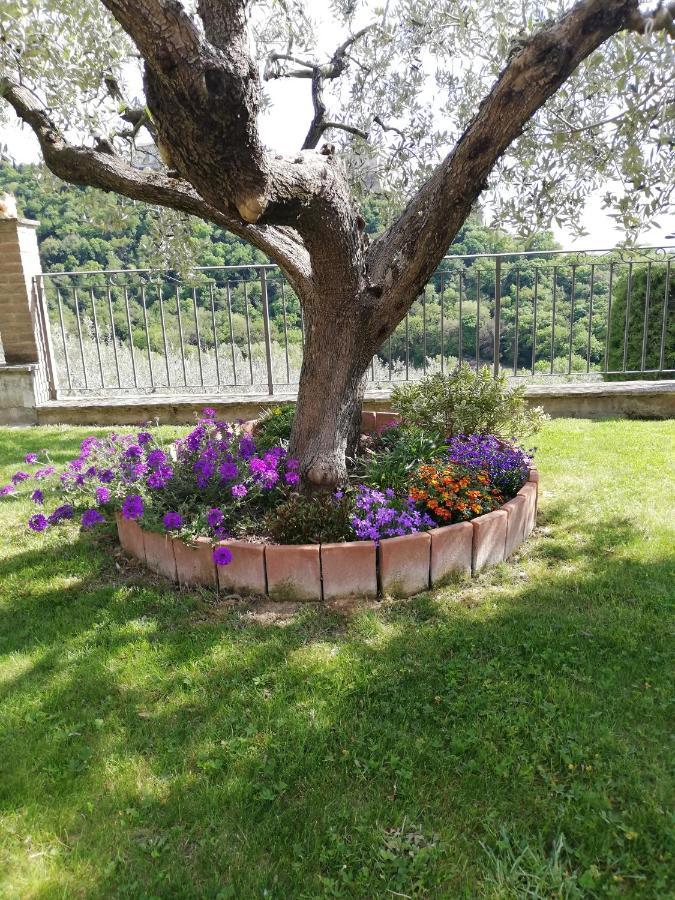 La Casa Tra Gli Ulivi Bed & Breakfast Assisi Exterior photo