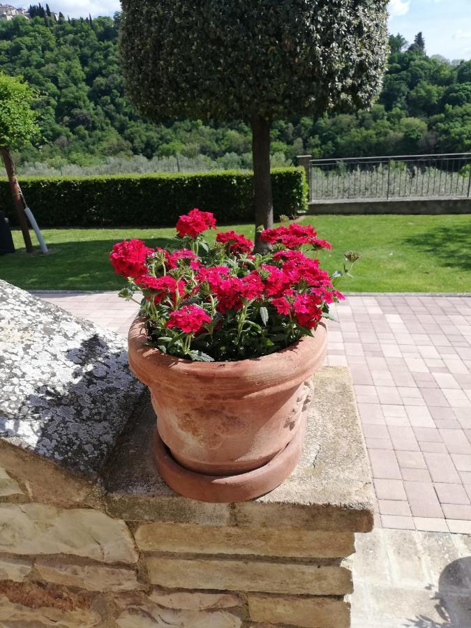 La Casa Tra Gli Ulivi Bed & Breakfast Assisi Exterior photo