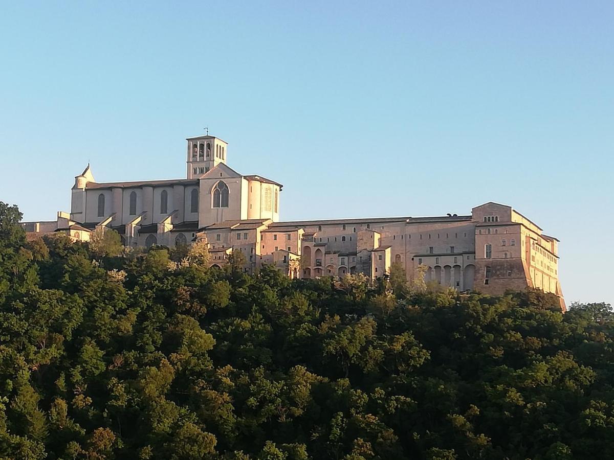La Casa Tra Gli Ulivi Bed & Breakfast Assisi Exterior photo