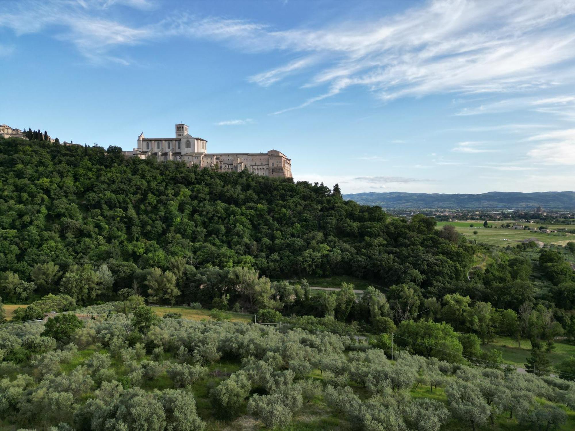 La Casa Tra Gli Ulivi Bed & Breakfast Assisi Exterior photo