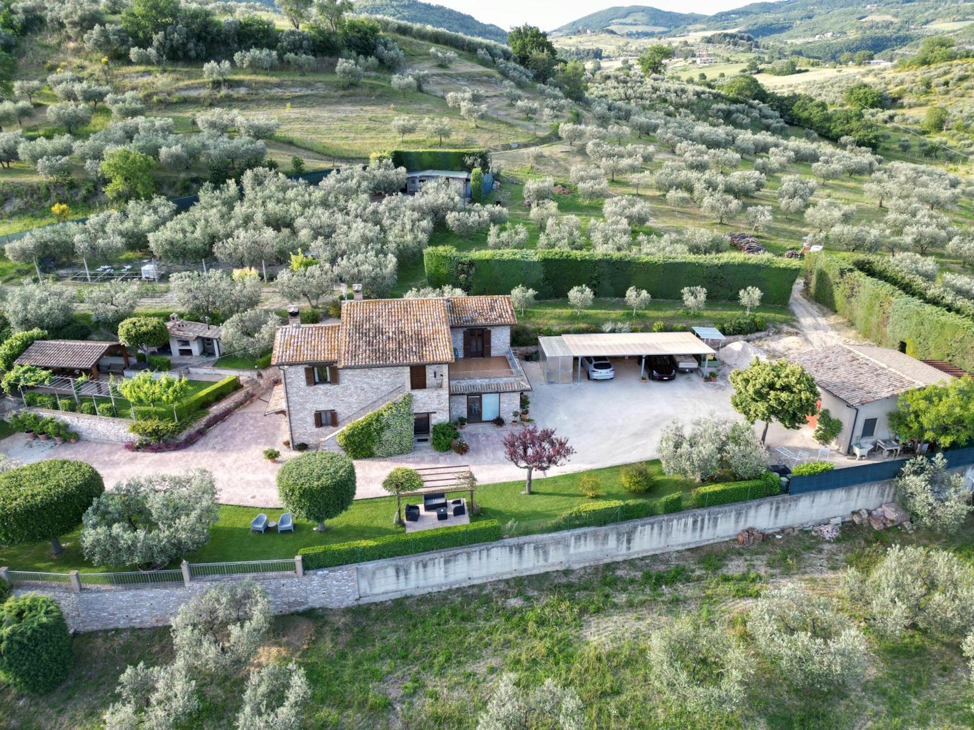 La Casa Tra Gli Ulivi Bed & Breakfast Assisi Exterior photo